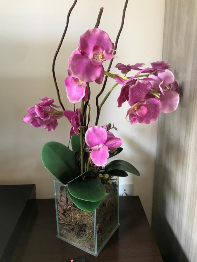 Aconchego Proximo A Cascaneia E Blumenau Gaspar Ngoại thất bức ảnh